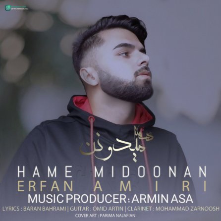 Hame Midoonan