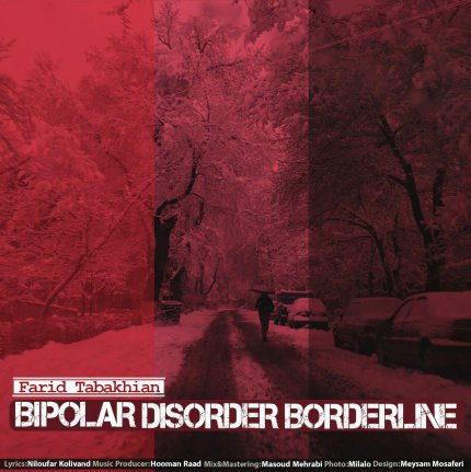 Bipolar Disorder Borderline