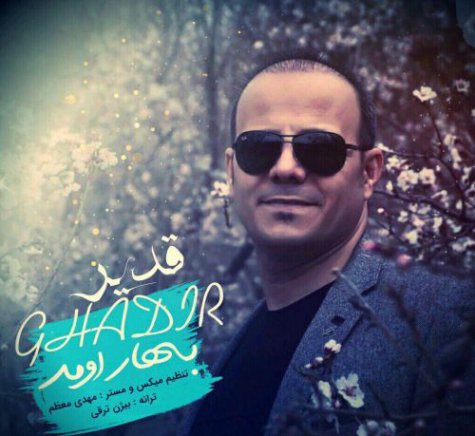 Bahar Omad