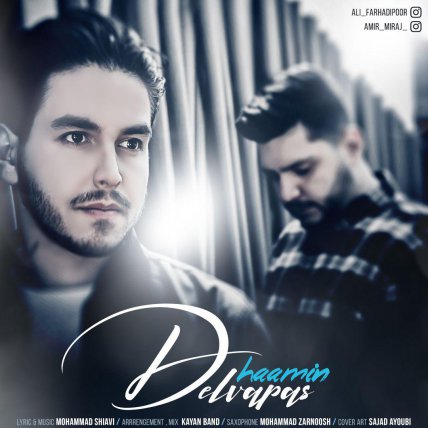 Delvapas
