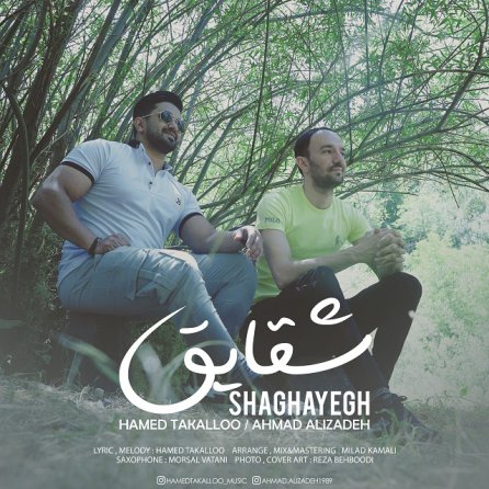 Shaghayegh