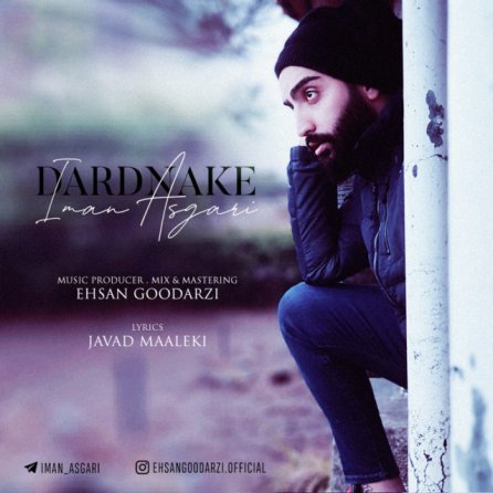 Dardnake
