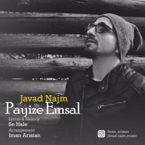 Payize Emsal