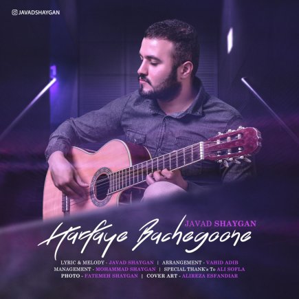 Harfaye Bachegoone