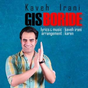 Gis Boride