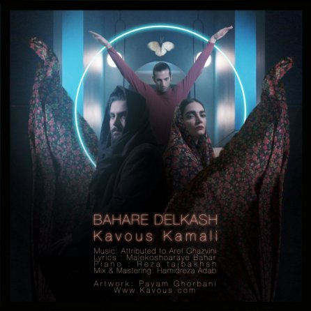 Bahare Delkash