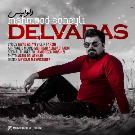 Delvapas