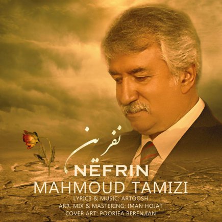 Nefrin