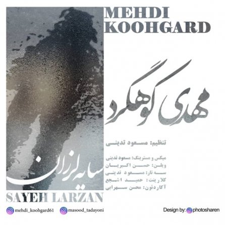 Sayeh Larzan