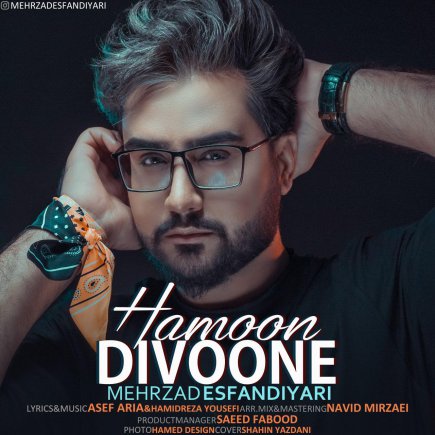 Hamoon Divoone