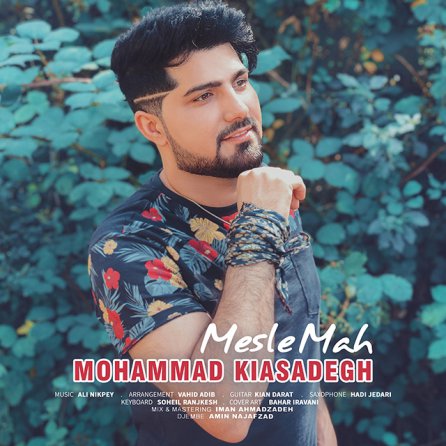 Mesle Mah