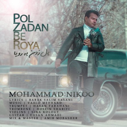Pol Zadan Be Roya