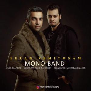 Felan Nemitonam