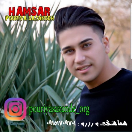 Hamsar