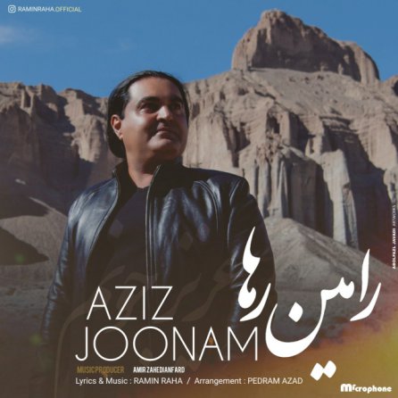 Aziz Joonam