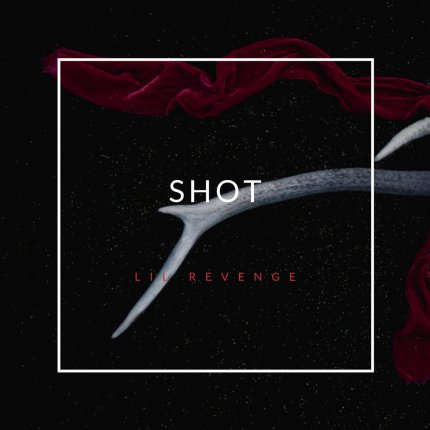 Shot