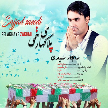 Pelak Haye Zakhmi