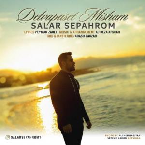 Delvapaset Misham