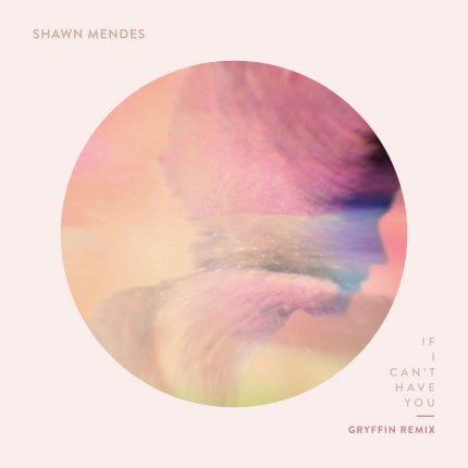 If I Cant Have You - Gryffin Remix