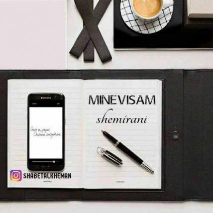 Minevisam