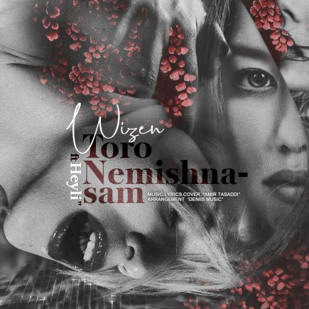 Toro Nemishnasam