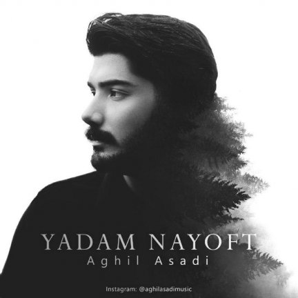 Yadam Nayoft