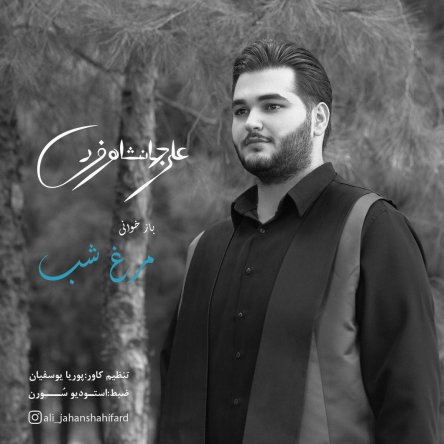 Morghe Shab