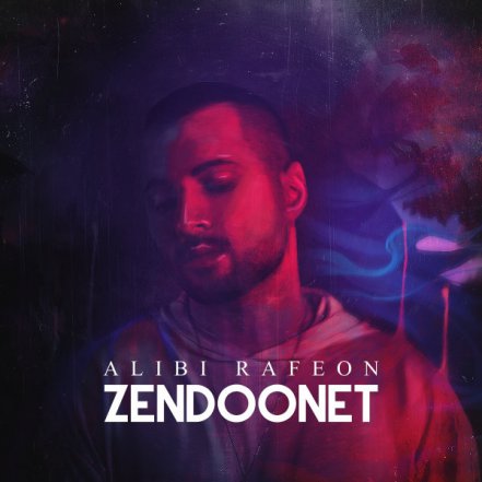 Zendoonet