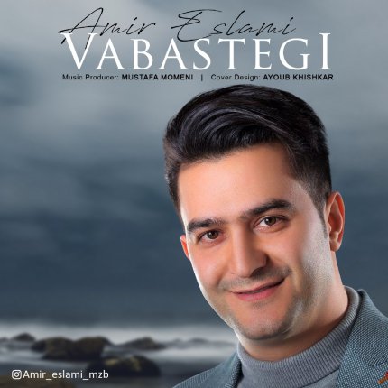 Vabastegi