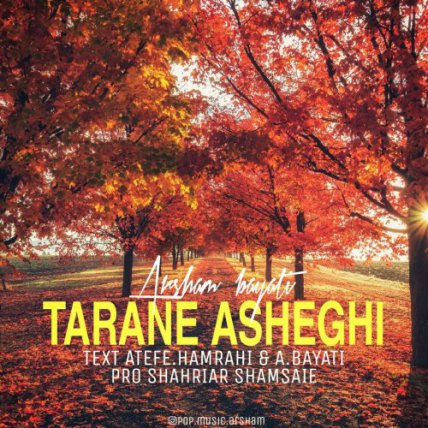 Tarane Asheghi