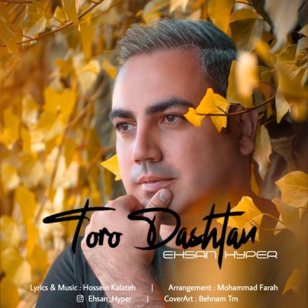 Toro Dashtan