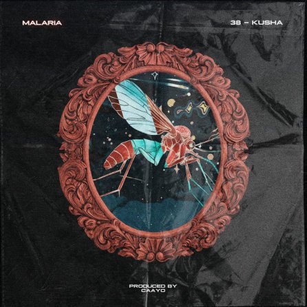 Malaria