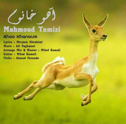 Ahoo Khanoum