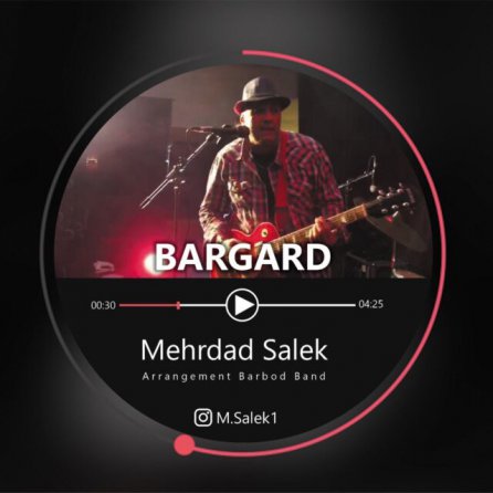 Bargard