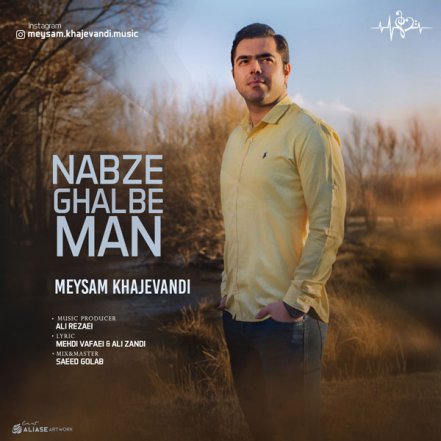 Nabze Ghalbe Man
