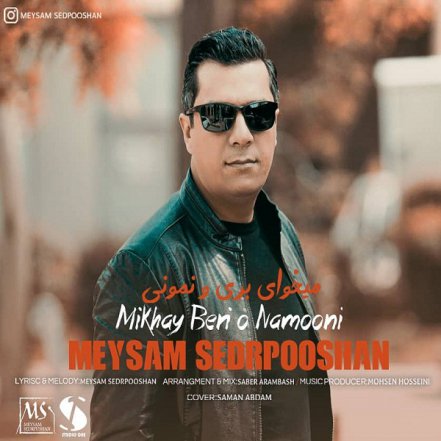 Mikhai Berio Namooni