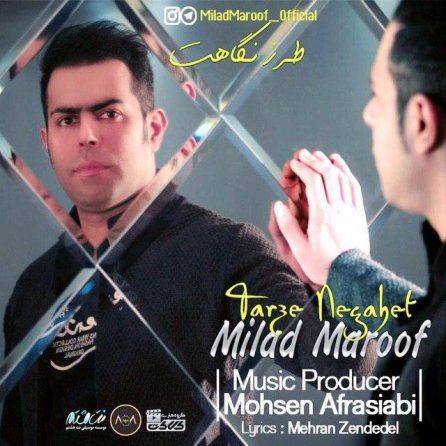 Tarze Negahet