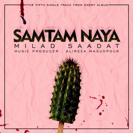 SamTam Naya