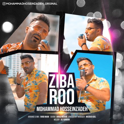 Ziba Roo