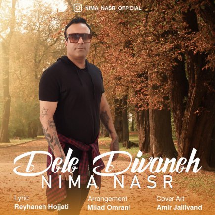 Dele Divaneh
