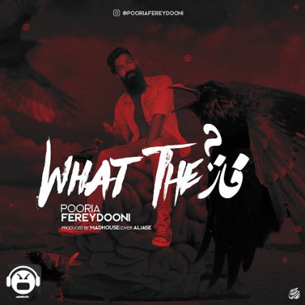 What The Fazz