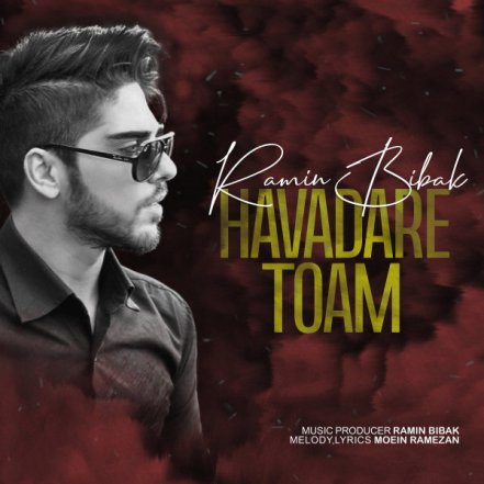 Havadare Toam