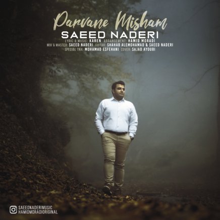 Parvane Misham