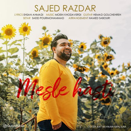 Mesle Hasti