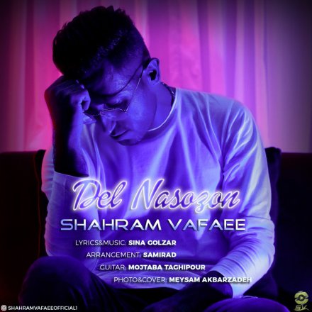 Del Nasozon
