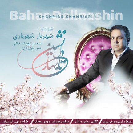 Bahare Delneshin