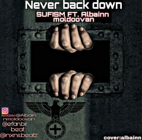 Never Back Down