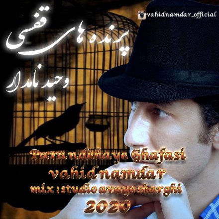 Parandehaye Ghafasi