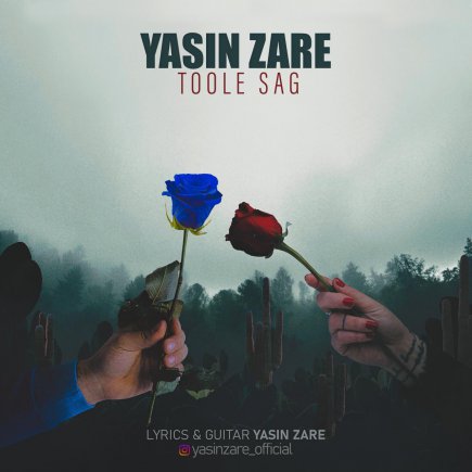 Toole Sag