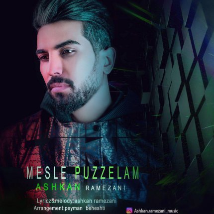 Mesle Puzzelam